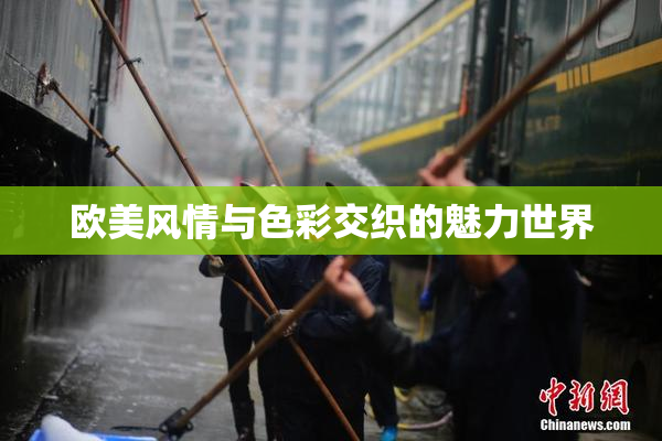 欧美风情与色彩交织的魅力世界