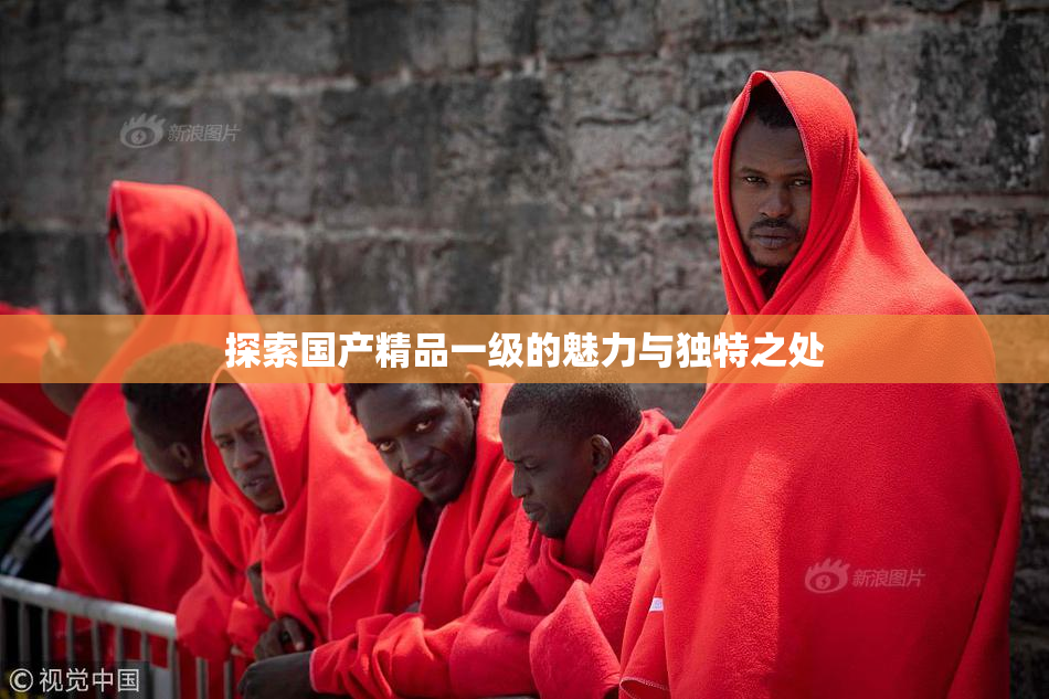 探索国产精品一级的魅力与独特之处
