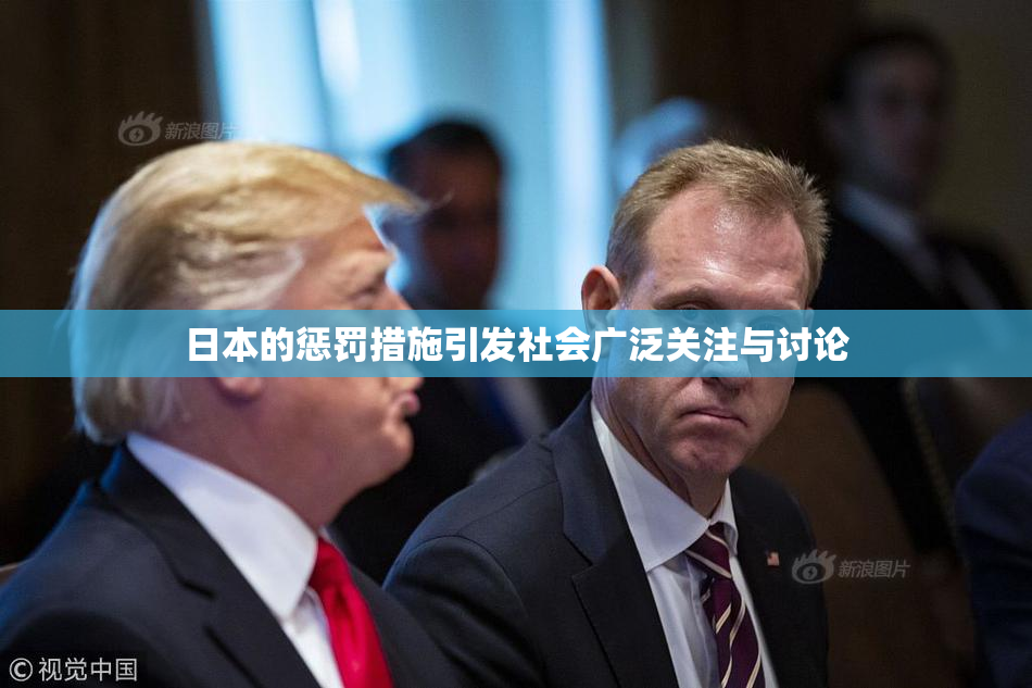 日本的惩罚措施引发社会广泛关注与讨论