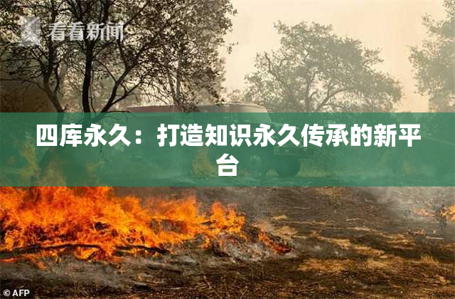 四库永久：打造知识永久传承的新平台