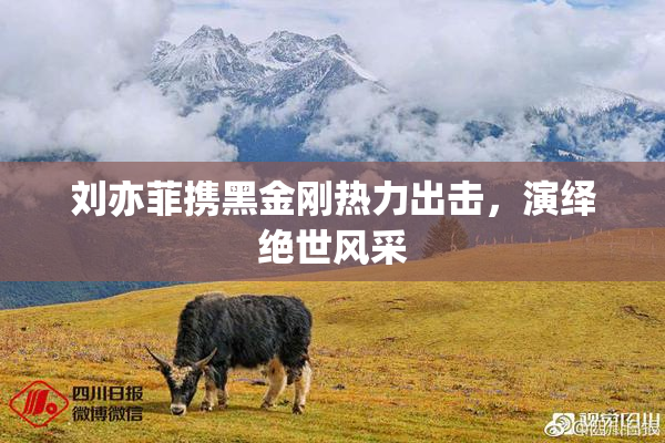 刘亦菲携黑金刚热力出击，演绎绝世风采