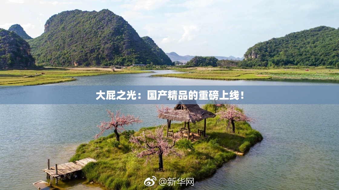 大屁之光：国产精品的重磅上线！