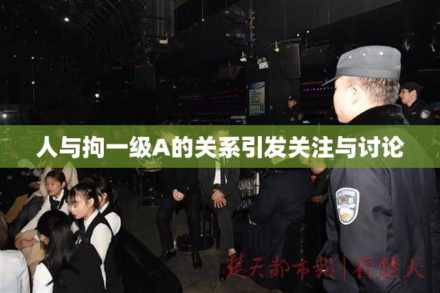人与拘一级A的关系引发关注与讨论