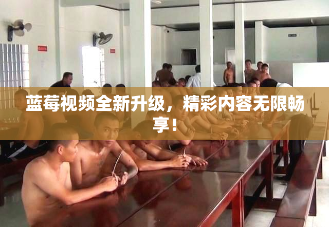 蓝莓视频全新升级，精彩内容无限畅享！