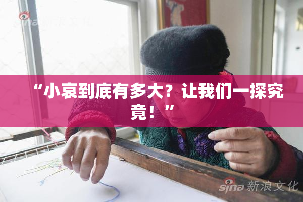“小哀到底有多大？让我们一探究竟！”