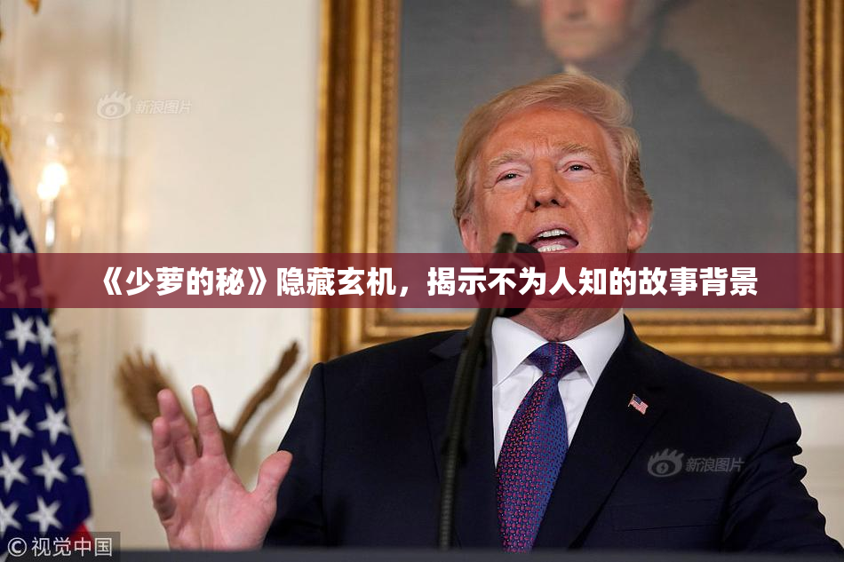 《少萝的秘》隐藏玄机，揭示不为人知的故事背景