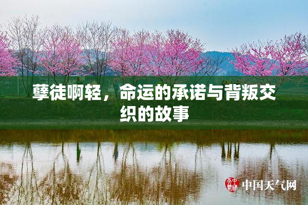 孽徒啊轻，命运的承诺与背叛交织的故事