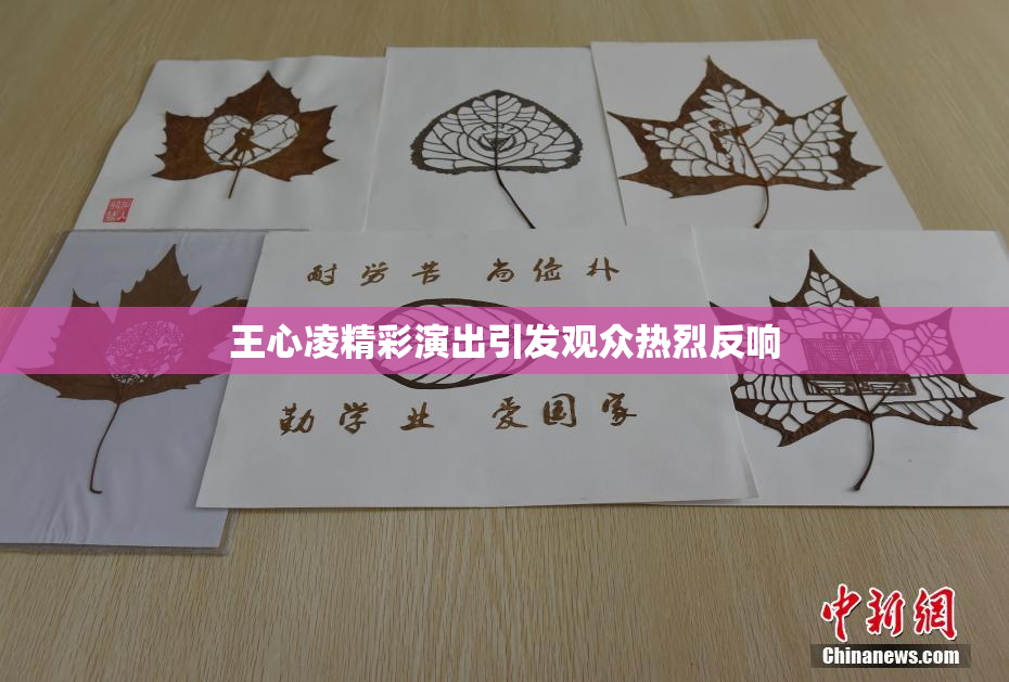 王心凌精彩演出引发观众热烈反响