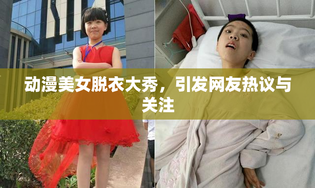 动漫美女脱衣大秀，引发网友热议与关注