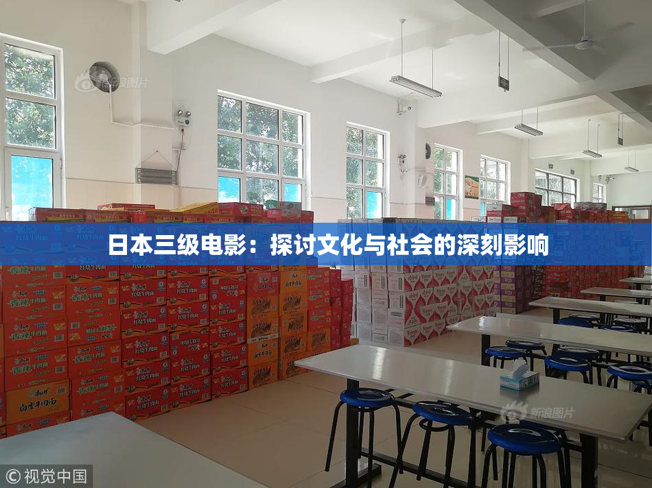 日本三级电影：探讨文化与社会的深刻影响