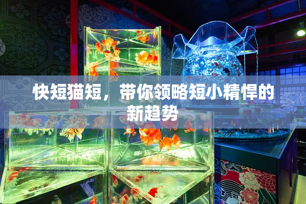 快短猫短，带你领略短小精悍的新趋势