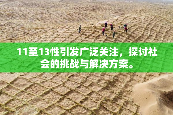 11至13性引发广泛关注，探讨社会的挑战与解决方案。