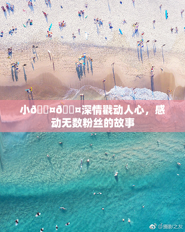 小🐤🐤深情戳动人心，感动无数粉丝的故事