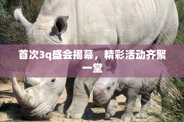 首次3q盛会揭幕，精彩活动齐聚一堂