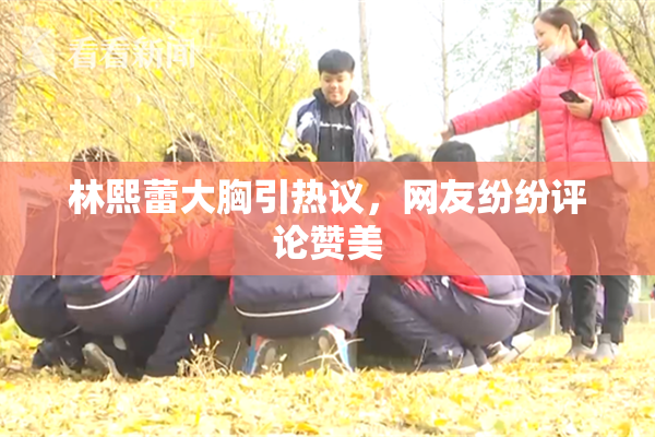 林熙蕾大胸引热议，网友纷纷评论赞美