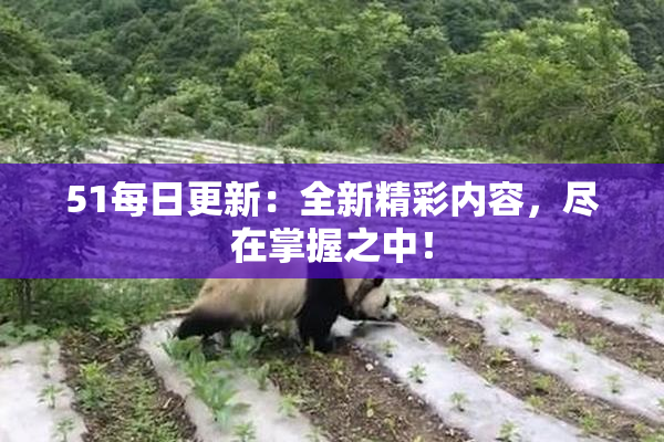 51每日更新：全新精彩内容，尽在掌握之中！