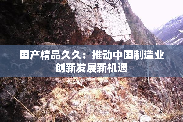 国产精品久久：推动中国制造业创新发展新机遇