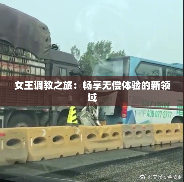 女王调教之旅：畅享无偿体验的新领域