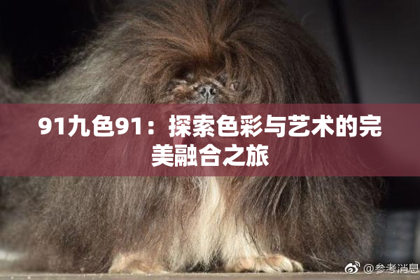 91九色91：探索色彩与艺术的完美融合之旅