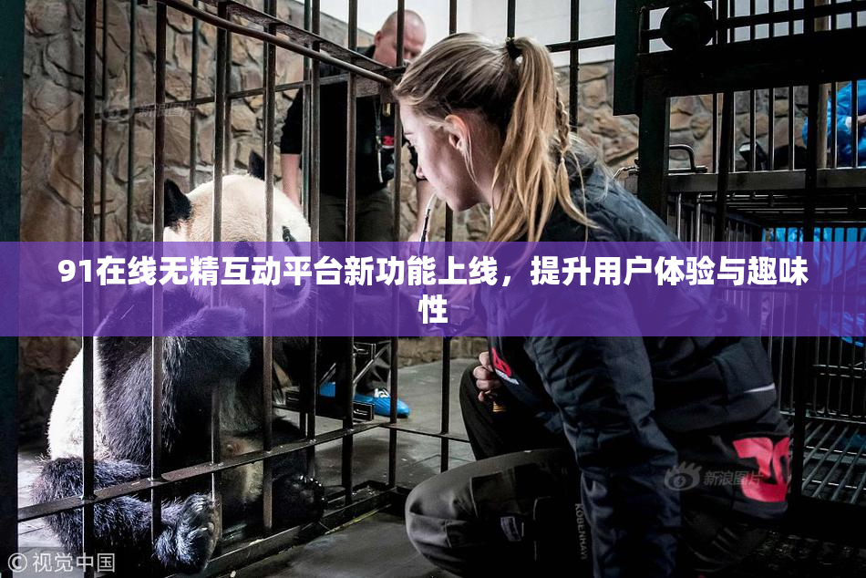 91在线无精互动平台新功能上线，提升用户体验与趣味性