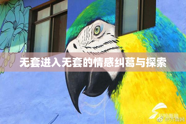 无套进入无套的情感纠葛与探索