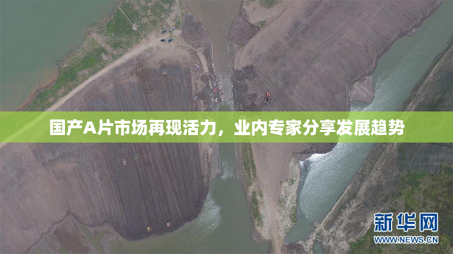 国产A片市场再现活力，业内专家分享发展趋势