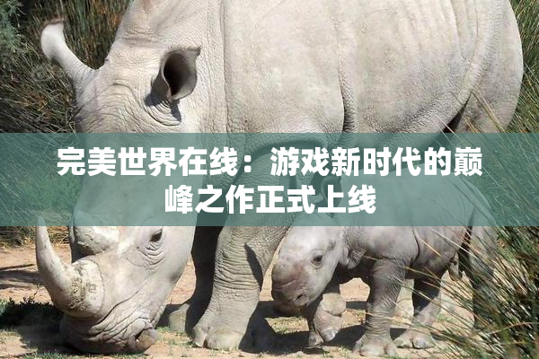 完美世界在线：游戏新时代的巅峰之作正式上线