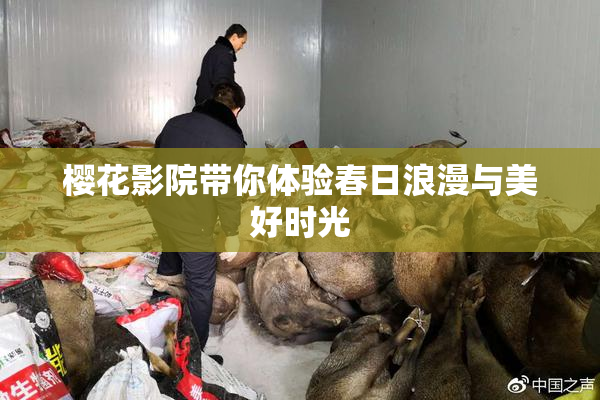 樱花影院带你体验春日浪漫与美好时光