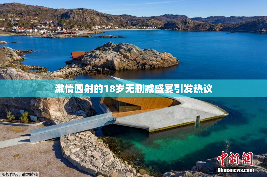 激情四射的18岁无删减盛宴引发热议