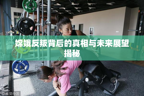 嫦娥反叛背后的真相与未来展望揭秘