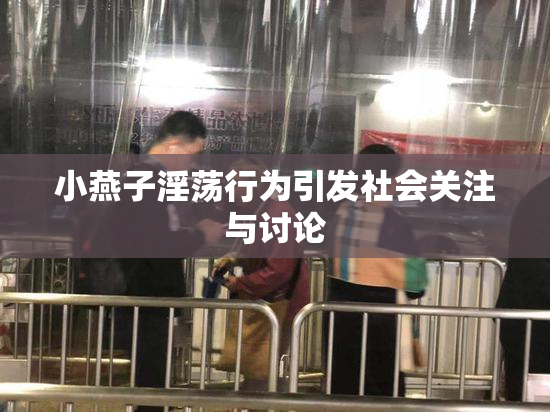 小燕子淫荡行为引发社会关注与讨论