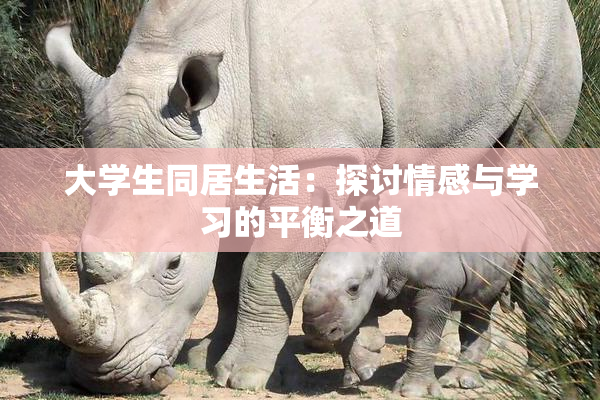 大学生同居生活：探讨情感与学习的平衡之道
