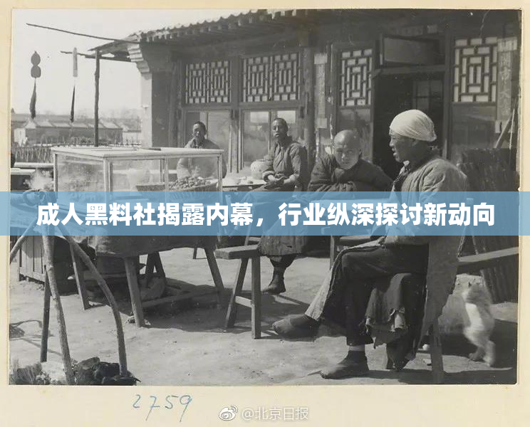 成人黑料社揭露内幕，行业纵深探讨新动向