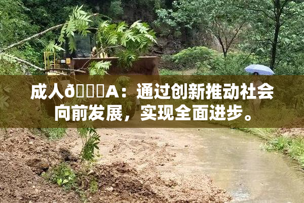 成人🔞A：通过创新推动社会向前发展，实现全面进步。
