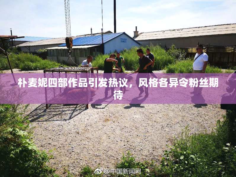 朴麦妮四部作品引发热议，风格各异令粉丝期待