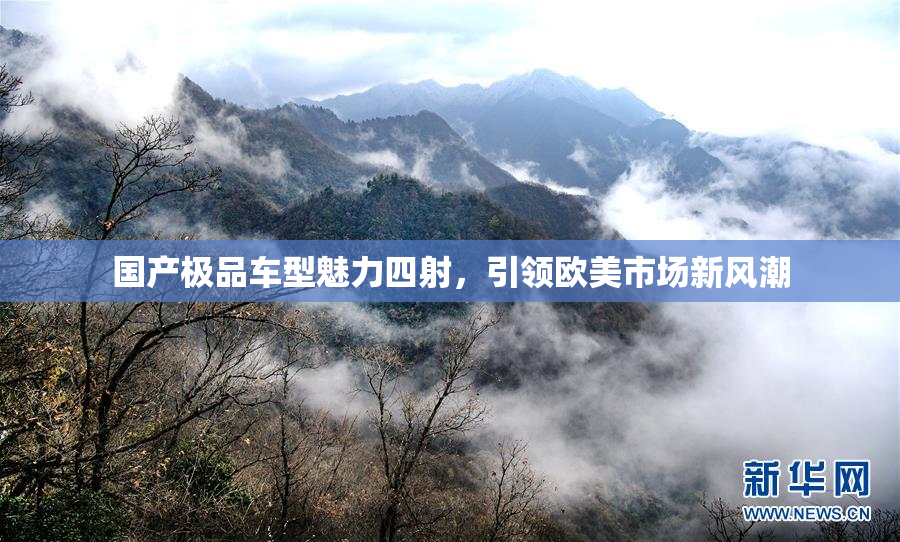国产极品车型魅力四射，引领欧美市场新风潮