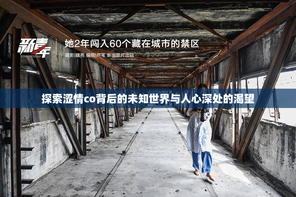 探索涩情co背后的未知世界与人心深处的渴望