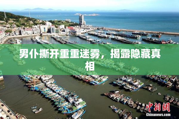 男仆撕开重重迷雾，揭露隐藏真相