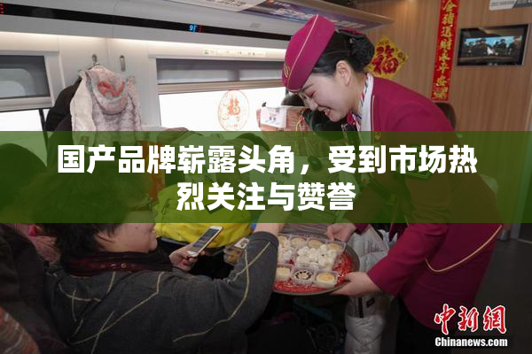国产品牌崭露头角，受到市场热烈关注与赞誉