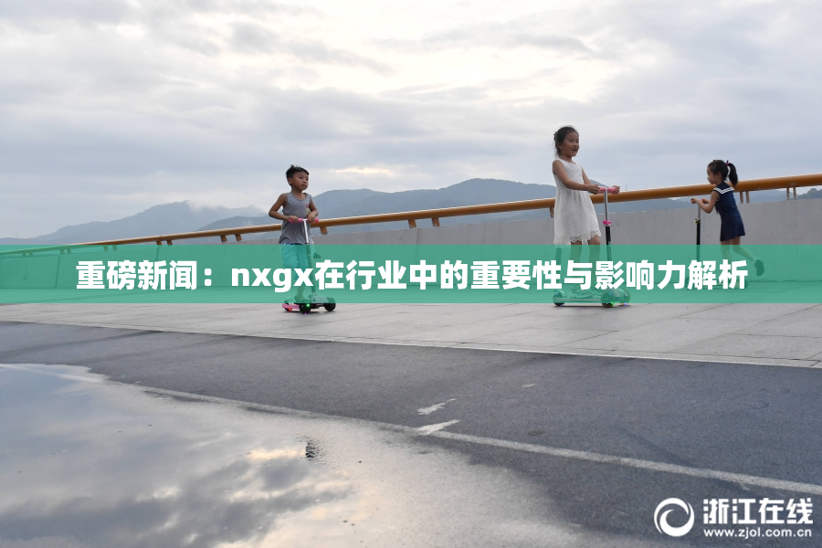 重磅新闻：nxgx在行业中的重要性与影响力解析
