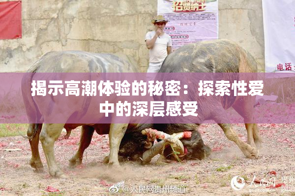 揭示高潮体验的秘密：探索性爱中的深层感受