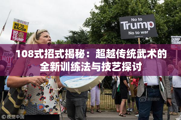108式招式揭秘：超越传统武术的全新训练法与技艺探讨