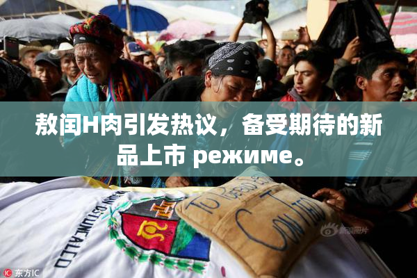 敖闰H肉引发热议，备受期待的新品上市 режиме。