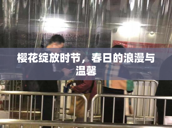 樱花绽放时节，春日的浪漫与温馨