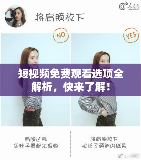 短视频免费观看选项全解析，快来了解！