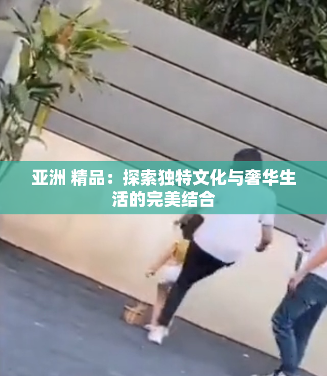 亚洲 精品：探索独特文化与奢华生活的完美结合