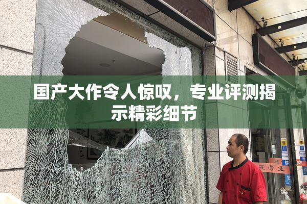 国产大作令人惊叹，专业评测揭示精彩细节