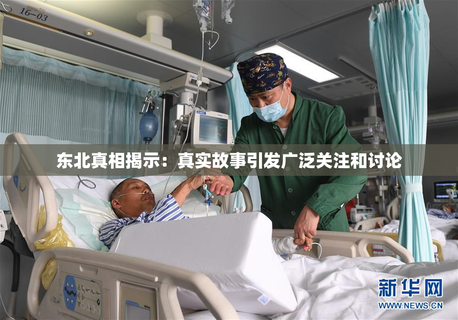 东北真相揭示：真实故事引发广泛关注和讨论