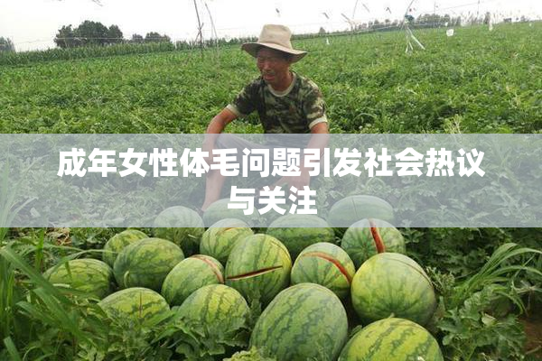 成年女性体毛问题引发社会热议与关注