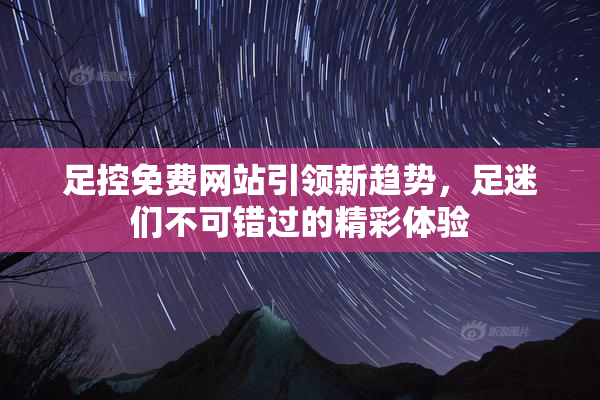 足控免费网站引领新趋势，足迷们不可错过的精彩体验